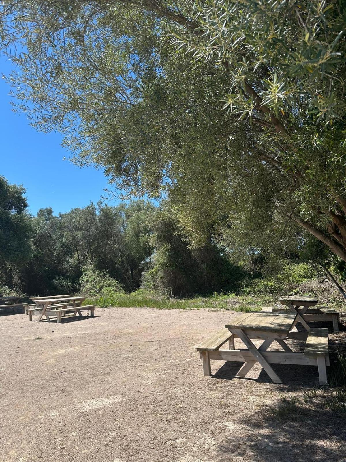 Apartamento Barbacoa, Piscina Y Playa 拉波夫拉德法尔纳尔斯 外观 照片